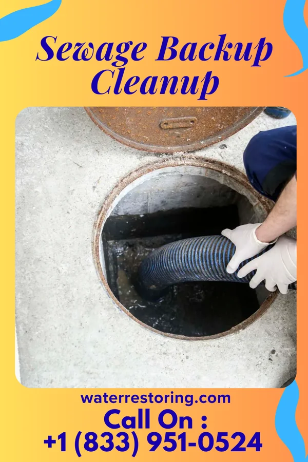 Sewage Backup Cleanup in Manchester, OH