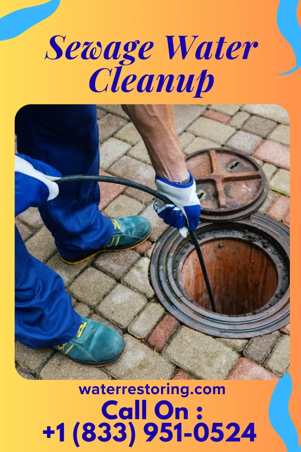 Sewage Water Cleanup in Manchester, OH