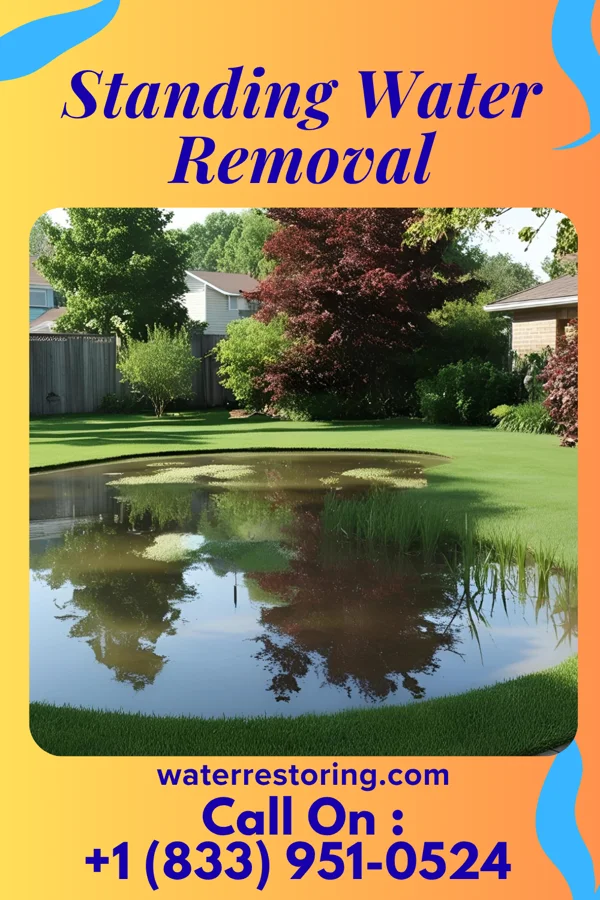 Standing Water Removal in Manchester, OH